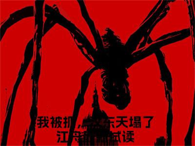 我被抓，汉东天塌了江舟热门小说（我被抓，汉东天塌了江舟）最新章节阅读-我被抓，汉东天塌了江舟小说最后结局如何