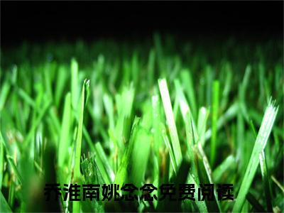 乔淮南姚念念免费阅读（乔淮南姚念念）全文免费阅读无弹窗大结局_乔淮南姚念念免费阅读最新章节列表_笔趣阁（乔淮南姚念念）
