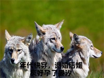 年代快穿，退婚后炮灰好孕了晏汐已完结小说全集阅读（年代快穿，退婚后炮灰好孕了晏汐完整版大结局）年代快穿，退婚后炮灰好孕了晏汐小说全文阅读笔趣阁