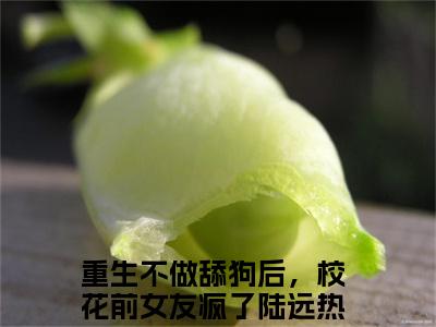 重生不做舔狗后，校花前女友疯了陆远经典小说无广告小说免费阅读 重生不做舔狗后，校花前女友疯了陆远全章节免费阅读