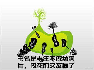 重生不做舔狗后，校花前女友疯了陆远小说（重生不做舔狗后，校花前女友疯了陆远）全文免费阅读-重生不做舔狗后，校花前女友疯了陆远精彩章节在线阅读