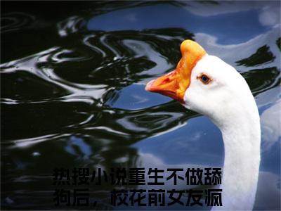 完结版重生不做舔狗后，校花前女友疯了陆远小说在线阅读大结局-重生不做舔狗后，校花前女友疯了陆远全文阅读已更新重生不做舔狗后，校花前女友疯了陆远