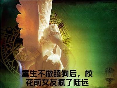 重生不做舔狗后，校花前女友疯了陆远（重生不做舔狗后，校花前女友疯了陆远）小说在线阅读_重生不做舔狗后，校花前女友疯了陆远免费阅读笔趣阁（重生不做舔狗后，校花前女友疯了陆远）