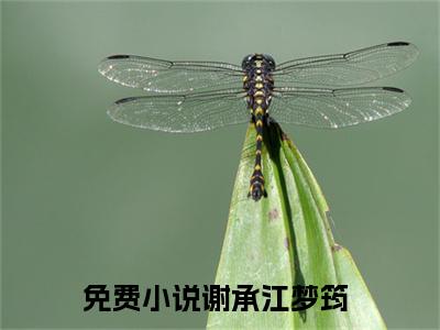 谢承江梦筠已完结全集大结局小说-热门小说（谢承江梦筠）最新章节阅读