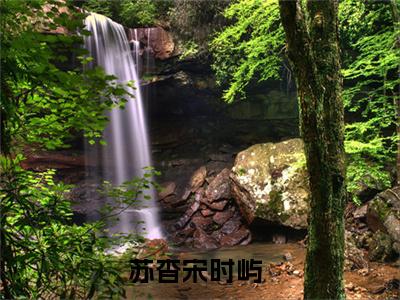 苏杳宋时屿免费小说-苏杳宋时屿完结版在线阅读