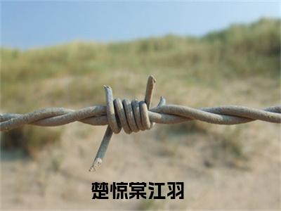 楚惊棠江羽是什么 楚惊棠江羽免费阅读全文