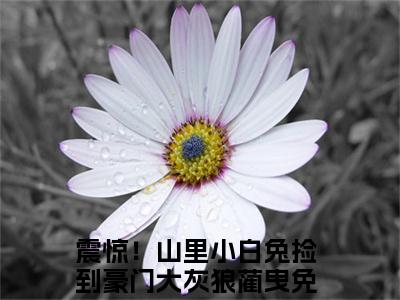 震惊！山里小白兔捡到豪门大灰狼蔺曳最新章节小说推荐阅读-新书震惊！山里小白兔捡到豪门大灰狼蔺曳精彩片段阅读