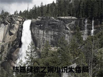 陈嘉肆徐之婉最新章节（陈嘉肆徐之婉全文+后续）全文免费阅读无弹窗大结局_陈嘉肆徐之婉全文+后续免费阅读（陈嘉肆徐之婉）