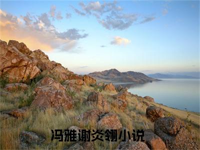 小说冯雅谢炎翎免费阅读-（冯雅谢炎翎）全文无弹窗阅读