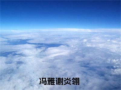 冯雅谢炎翎（冯雅谢炎翎）最新热门小说-冯雅谢炎翎免费阅读
