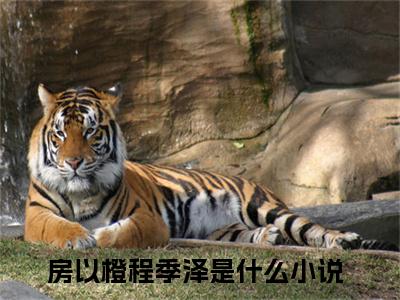 房以橙程季泽全文免费阅读大结局 房以橙程季泽小说最新章节阅读无弹窗