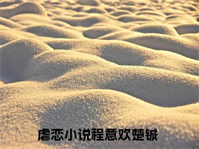 程意欢楚铖（程意欢楚铖）完整版小说阅读_程意欢楚铖全文免费阅读笔趣阁（程意欢楚铖）
