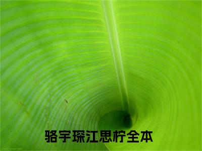 骆宇琛江思柠（骆宇琛江思柠)全文免费阅读无弹窗大结局_骆宇琛江思柠全文免费阅读_笔趣阁（骆宇琛江思柠）