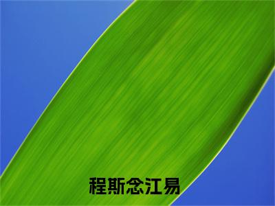 程斯念江易小说（程斯念江易)全文免费阅读无弹窗大结局_程斯念江易完整版最新阅读_笔趣阁（程斯念江易）