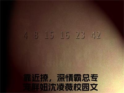 靠近撩，深情霸总专宠胖妞沈凌薇（靠近撩，深情霸总专宠胖妞沈凌薇）全文免费阅读无弹窗大结局_靠近撩，深情霸总专宠胖妞沈凌薇全文在线阅读无弹窗