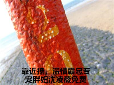 靠近撩，深情霸总专宠胖妞沈凌薇(靠近撩，深情霸总专宠胖妞沈凌薇)全文免费阅读最新章节大结局_ 靠近撩，深情霸总专宠胖妞沈凌薇全文免费阅读最新章节列表_笔趣阁
