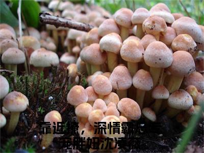 靠近撩，深情霸总专宠胖妞沈凌薇全文免费阅读_靠近撩，深情霸总专宠胖妞沈凌薇（靠近撩，深情霸总专宠胖妞沈凌薇）小说在线阅读最新章节列表笔趣阁