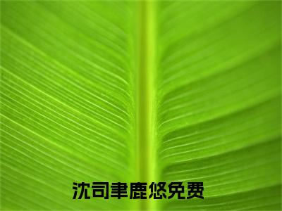 沈司聿鹿悠（沈司聿鹿悠）小说全文免费阅读无弹窗-沈司聿鹿悠全章节在线阅读