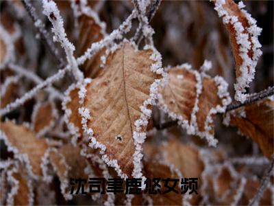 沈司聿鹿悠（沈司聿鹿悠）是什么小说-（沈司聿鹿悠）无弹窗免费阅读大结局最新章节列表_笔趣阁