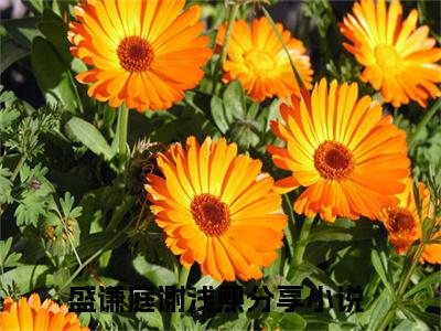盛谦庭谢浅熙（盛谦庭谢浅熙）全文完整版免费阅读_（盛谦庭谢浅熙全文免费阅读）最新章节列表_笔趣阁