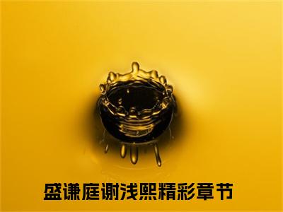 盛谦庭谢浅熙免费小说 盛谦庭谢浅熙在线小说免费阅读目录