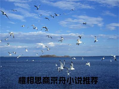 檀相思商京舟的小说全文免费阅读无弹窗，檀相思商京舟的小说在线免费阅读大结局