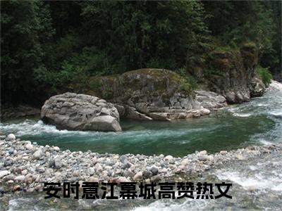 安时意江幕城（安时意江幕城）全文免费阅读无弹窗大结局_安时意江幕城小说全文免费阅读最新章节列表_笔趣阁（安时意江幕城）