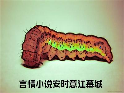 安时意江幕城（安时意江幕城）全文免费阅读无弹窗大结局_安时意江幕城最新章节列表_笔趣阁