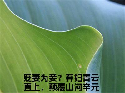 贬妻为妾？弃妇青云直上，颠覆山河辛元元正版小说全文阅读-贬妻为妾？弃妇青云直上，颠覆山河辛元元（贬妻为妾？弃妇青云直上，颠覆山河辛元元）小说在线阅读