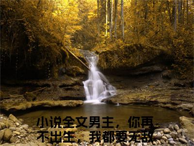 男主，你再不出生，我都要无敌了陆茉雪（男主，你再不出生，我都要无敌了陆茉雪）全文免费阅读大结局-（男主，你再不出生，我都要无敌了陆茉雪）结局免费阅读