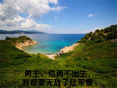 男主，你再不出生，我都要无敌了陆茉雪（男主，你再不出生，我都要无敌了陆茉雪）无广告免费阅读-男主，你再不出生，我都要无敌了陆茉雪小说最后结局如何