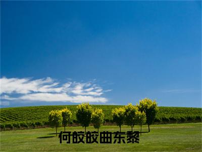 何皎皎曲东黎（何皎皎曲东黎）全文免费阅读无弹窗大结局_何皎皎曲东黎全文免费阅读