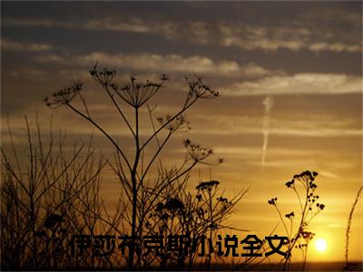 伊莎布克斯(伊莎布克斯)全文免费读无弹窗大结局_伊莎布克斯免费阅读全文大结局最新章节列表_笔趣阁