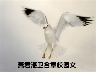 萧君湛卫含章无广告小说免费阅读，萧君湛卫含章完结小说在线阅读
