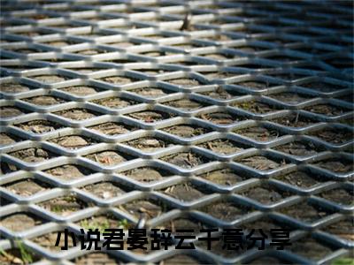 君晏辞云千意（君晏辞云千意）精选小说大结局阅读-抖音新书热荐君晏辞云千意