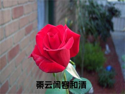 小说全文免费阅读无弹窗大结局_（秦云闲容和清）全文在线阅读