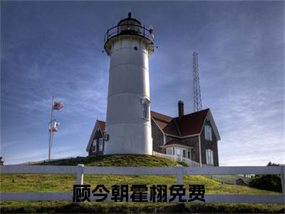 顾今朝霍栩全集免费阅读无弹窗_顾今朝霍栩完结小说榜单阅读（顾今朝霍栩小说）