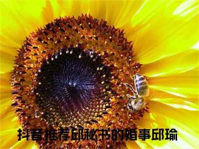 邱秘书的婚事邱瑜小说全文免费阅读无弹窗大结局-邱秘书的婚事邱瑜 小说在哪里可以看邱秘书的婚事邱瑜