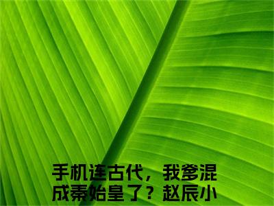 （手机连古代，我爹混成秦始皇了？赵辰）全文免费阅读无弹窗大结局_（手机连古代，我爹混成秦始皇了？赵辰阅读无弹窗）手机连古代，我爹混成秦始皇了？赵辰最新章节列表_笔趣阁（手机连古代，我爹混成秦始皇了？赵辰）