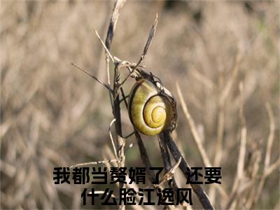 我都当赘婿了，还要什么脸江逸风最新章节在线阅读-我都当赘婿了，还要什么脸江逸风全文小说