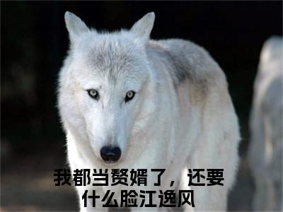 我都当赘婿了，还要什么脸江逸风笔趣阁免费小说-主角为我都当赘婿了，还要什么脸江逸风的小说全文在线赏析