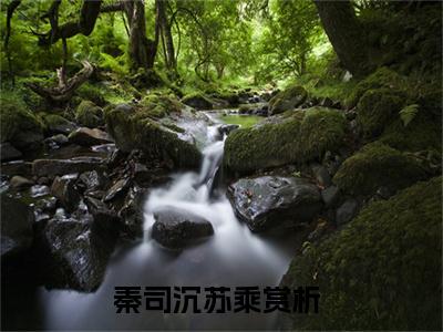 秦司沉苏乘小说最新章节（秦司沉苏乘）全文免费阅读无弹窗大结局_秦司沉苏乘免费阅读（秦司沉苏乘小说）