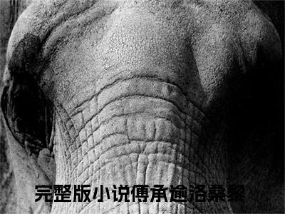 傅承逾洛桑黎小说最新试读_傅承逾洛桑黎是(傅承逾洛桑黎全文完整版免费阅读)_笔趣阁