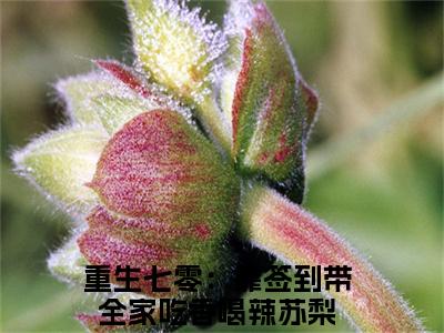 重生七零：靠签到带全家吃香喝辣苏梨小说大结局免费阅读-完结版重生七零：靠签到带全家吃香喝辣苏梨小说免费阅读