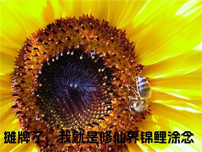摊牌了，我就是修仙界锦鲤涂念小说推荐-摊牌了，我就是修仙界锦鲤涂念在线阅读无删版
