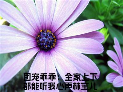 团宠乖乖：全家上下都能听我心声林宝儿（团宠乖乖：全家上下都能听我心声林宝儿）最新章节在线阅读-小说团宠乖乖：全家上下都能听我心声林宝儿完整版阅读
