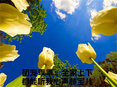 团宠乖乖：全家上下都能听我心声林宝儿（团宠乖乖：全家上下都能听我心声林宝儿）最新章节阅读-热点小说榜单推荐团宠乖乖：全家上下都能听我心声林宝儿