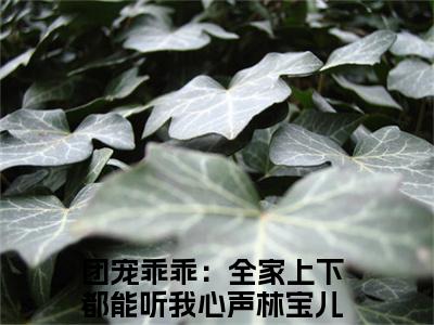 团宠乖乖：全家上下都能听我心声林宝儿全文免费阅读无弹窗大结局-团宠乖乖：全家上下都能听我心声林宝儿最新章节免费阅读