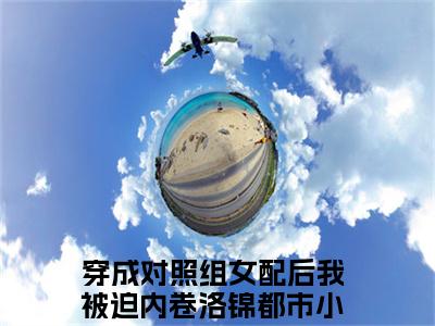 穿成对照组女配后我被迫内卷洛锦小说全文无删减版在线阅读_（穿成对照组女配后我被迫内卷洛锦）小说全文免费阅读_穿成对照组女配后我被迫内卷洛锦最新章节列表_笔趣阁