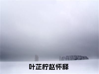 叶芷柠赵怀释小说(叶芷柠赵怀释)_全章节小说完整版阅读（叶芷柠赵怀释）
